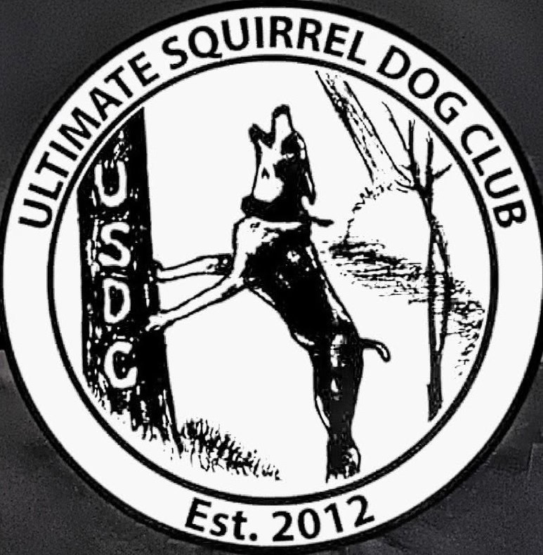 USDC Logo